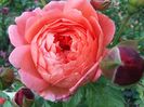 20160527_190852