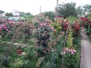 20160527_191035