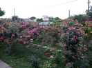 20160527_191043