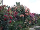 20160527_191824