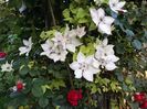 20160528_195303