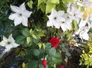 20160528_195317