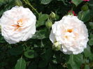 Poustinia