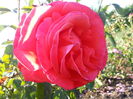 20160528_184328