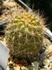 DSCN6968