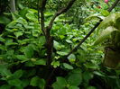 DSCN0190