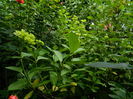 DSCN0196