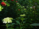 DSCN0442