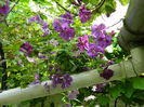 DSCN0507