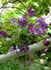 DSCN0553