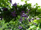 DSCN0624