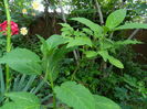 DSCN0640