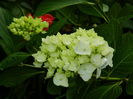 DSCN0659