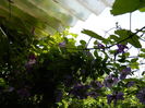 DSCN0722