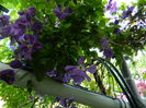 DSCN0733