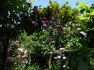 DSCN0753