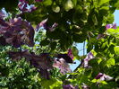 DSCN0755