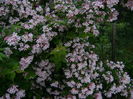 DSC02556