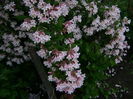 DSC02558