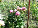 DSC02670