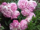20160521_161045