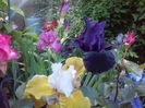 20160518_183816