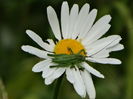 DSC07300