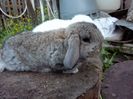IMG_20160530_210309