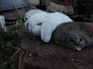 IMG_20160530_210347