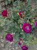 20160530_182800
