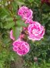 20160530_182929