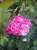20160530_182933