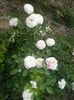 20160530_183006