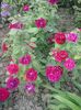 20160530_183011