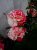 20160530_183133