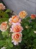 20160530_183241