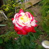 IMG_20160530_160233