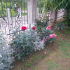 IMG_20160530_200525