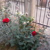 IMG_20160530_200539