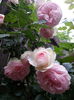 20160530_195826[1]