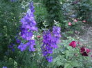 20160530_204624[1]