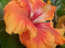 DSCN0717