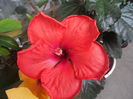DSCN0742