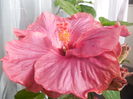 DSCN0745
