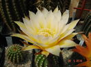 DSC09609