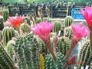 DSC09638