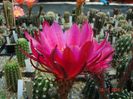 DSC09640