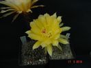 DSC09654