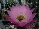 DSC09676