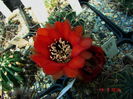 DSC09707